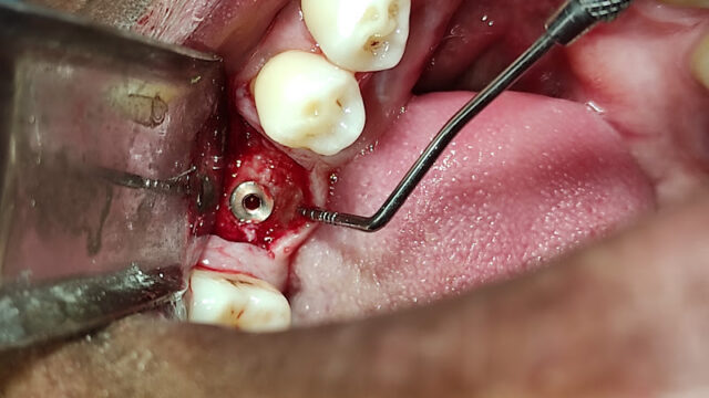 Wellington Dental SRL